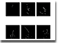 bt_hnegro_1