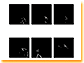 bt_hnegro_3